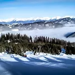 - A Auszeit * Neumarkt in Steiermark