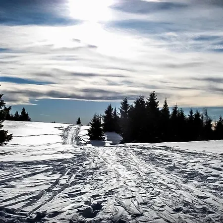 - A Auszeit Appartement *