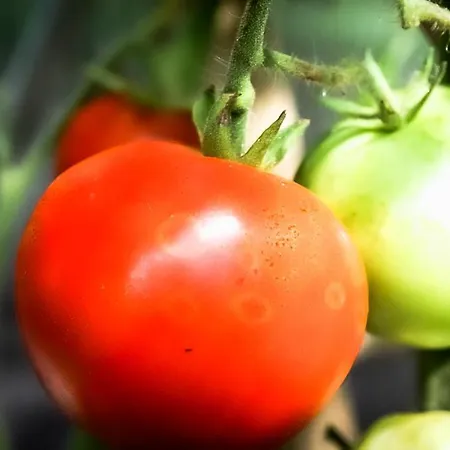 - A Auszeit * Neumarkt in Steiermark