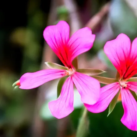 - A Auszeit * Neumarkt in Steiermark