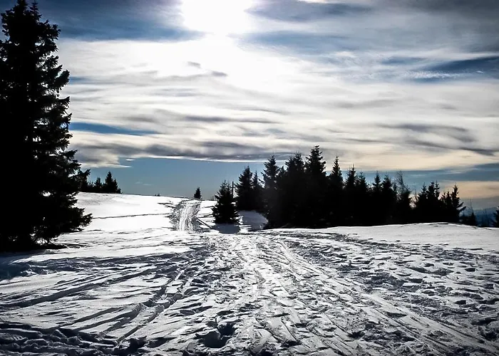 - A Auszeit Lejlighed *