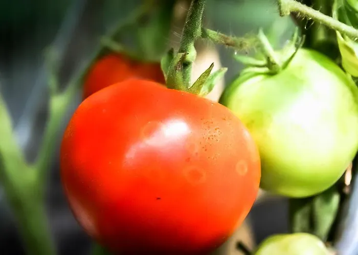 - A Auszeit * Neumarkt in Steiermark