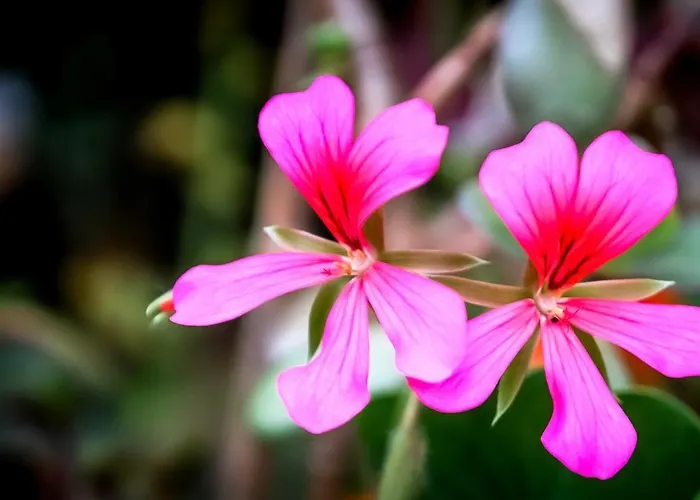 - A Auszeit * Neumarkt in Steiermark